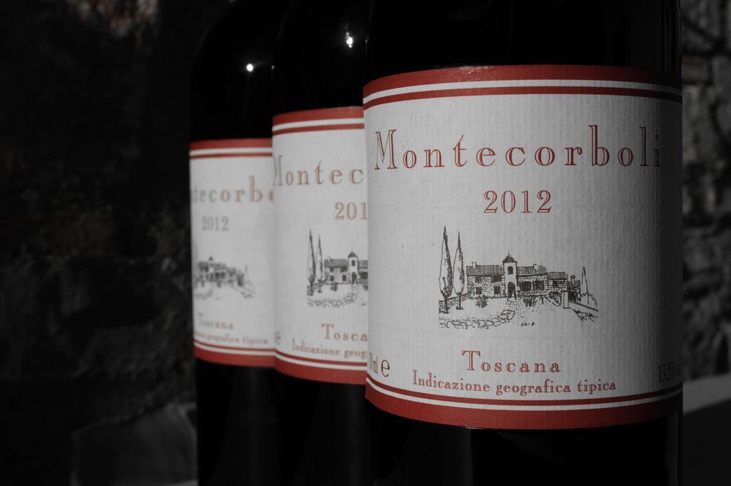 Agriturismo Montecorboli Barberino di Val dʼElsa Kültér fotó