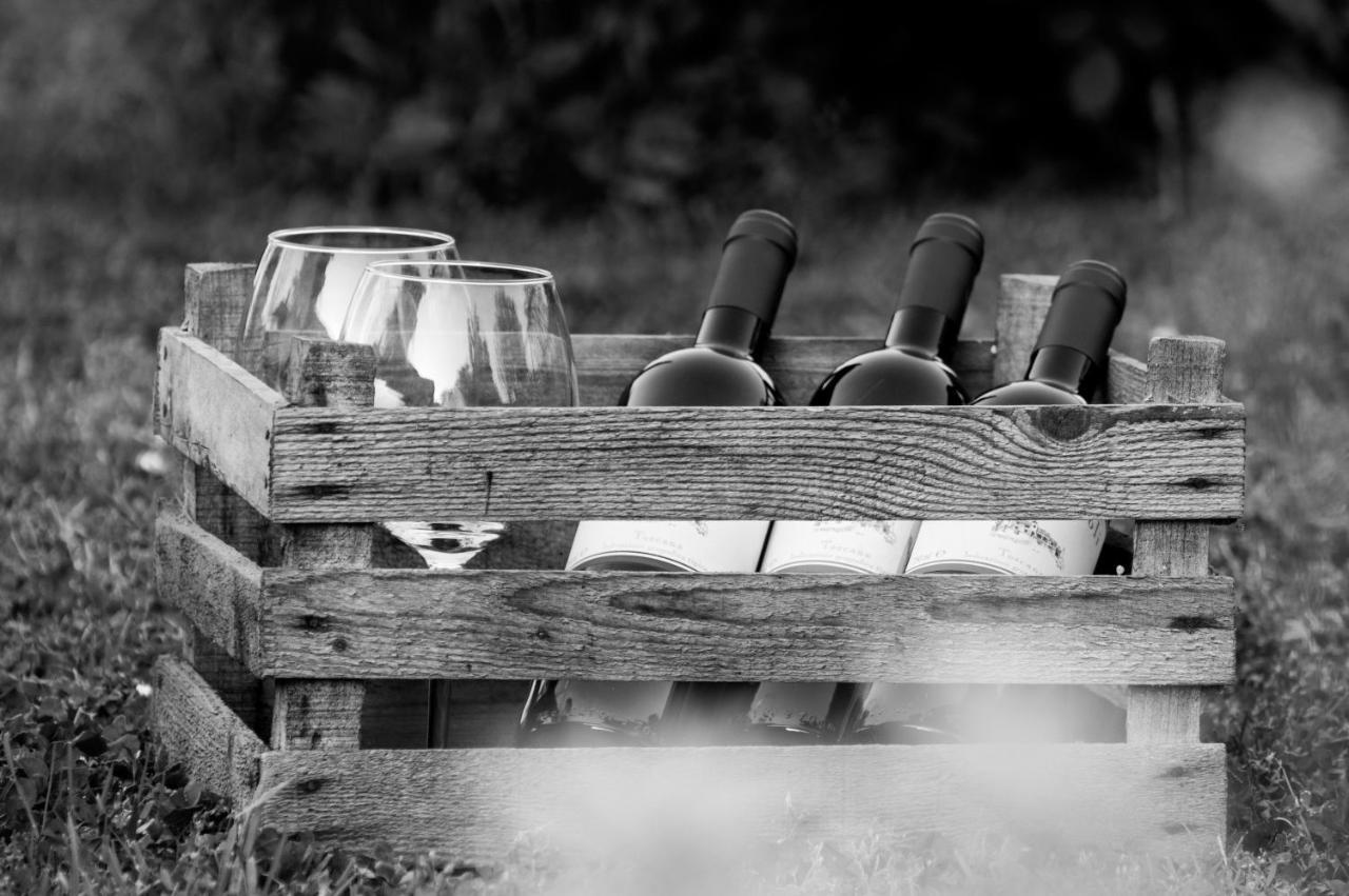 Agriturismo Montecorboli Barberino di Val dʼElsa Kültér fotó